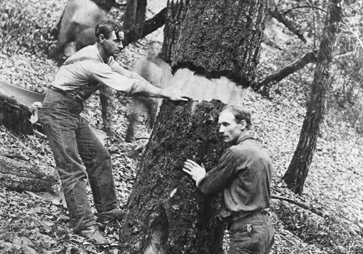 black and white photo of two men peeling the bark off a tree