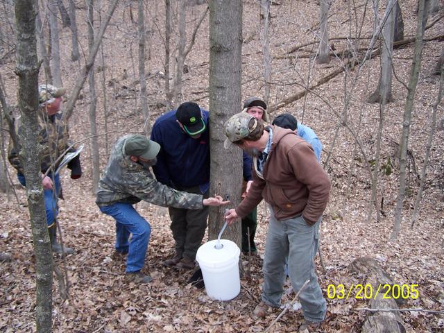 Private Forestland Tour: Maple Syrup Days, March 20, 2005, located on Jack Wohlstadter's Tree Farm in Illinois. 
(Photo courtesy of Jack Wohlstader) 