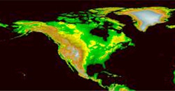 If Trees Could Talk: Middle School Curriculum - Forest History Society