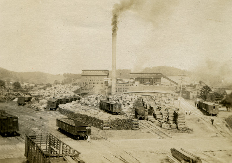 Champion Fiber Company mill, Canton, 1911