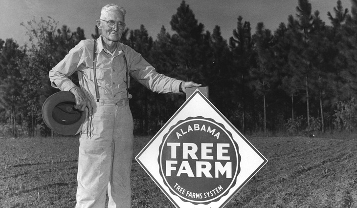 Emmett N. McCall of Dixonville, Alabama, was the country's first non-industrial, individually certified tree farmer.