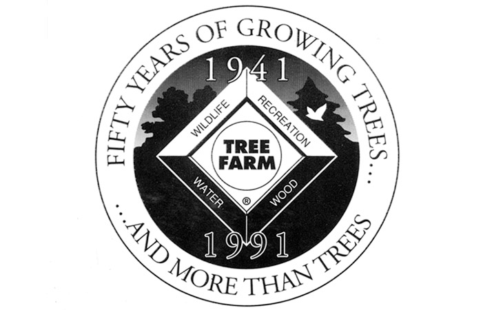 50th anniversary celebration logo