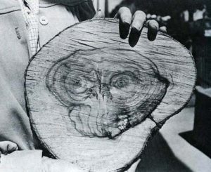 ET the extra-terrestrial tree