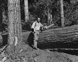 Buzz Martin, logger