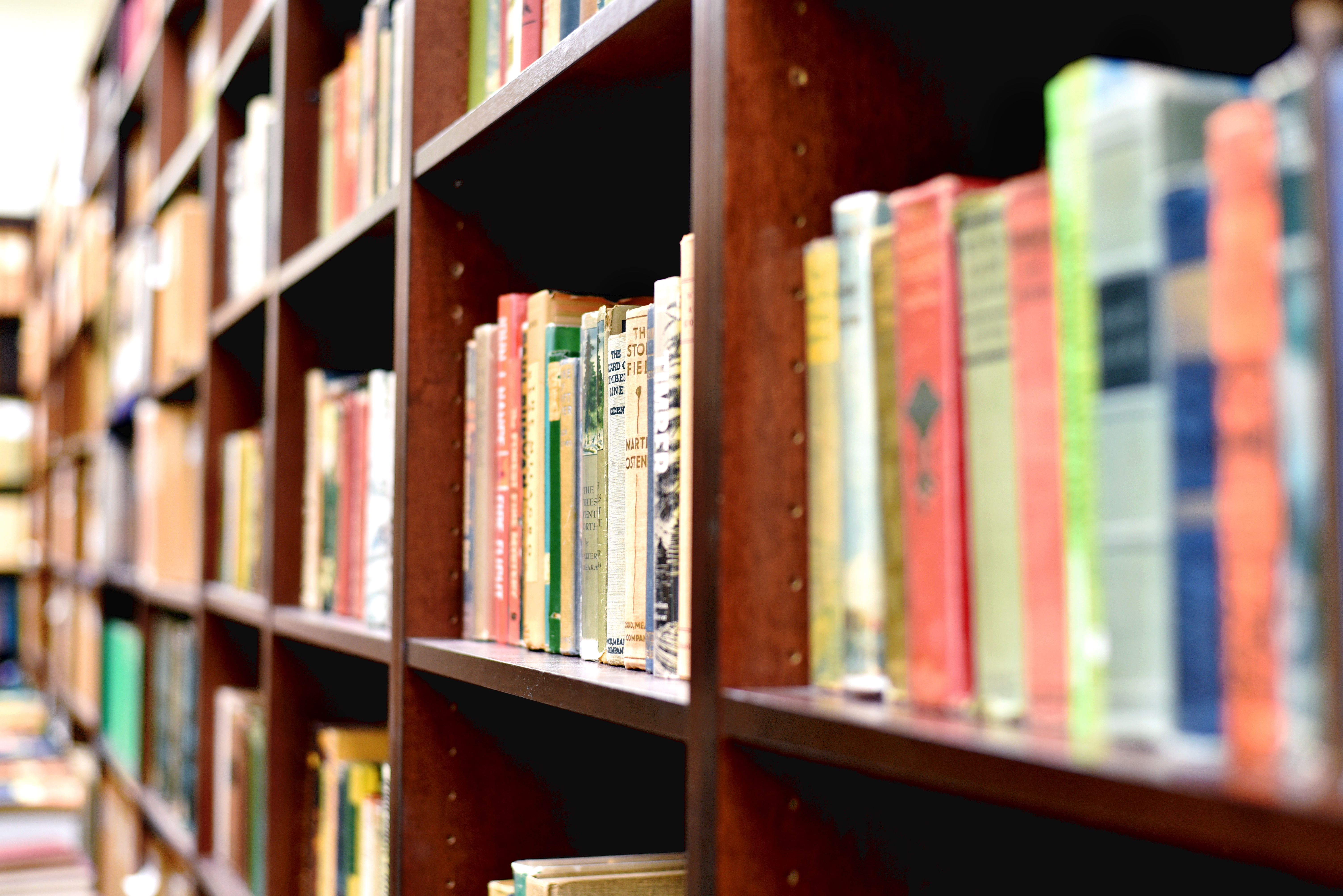 bookshelves filled with books