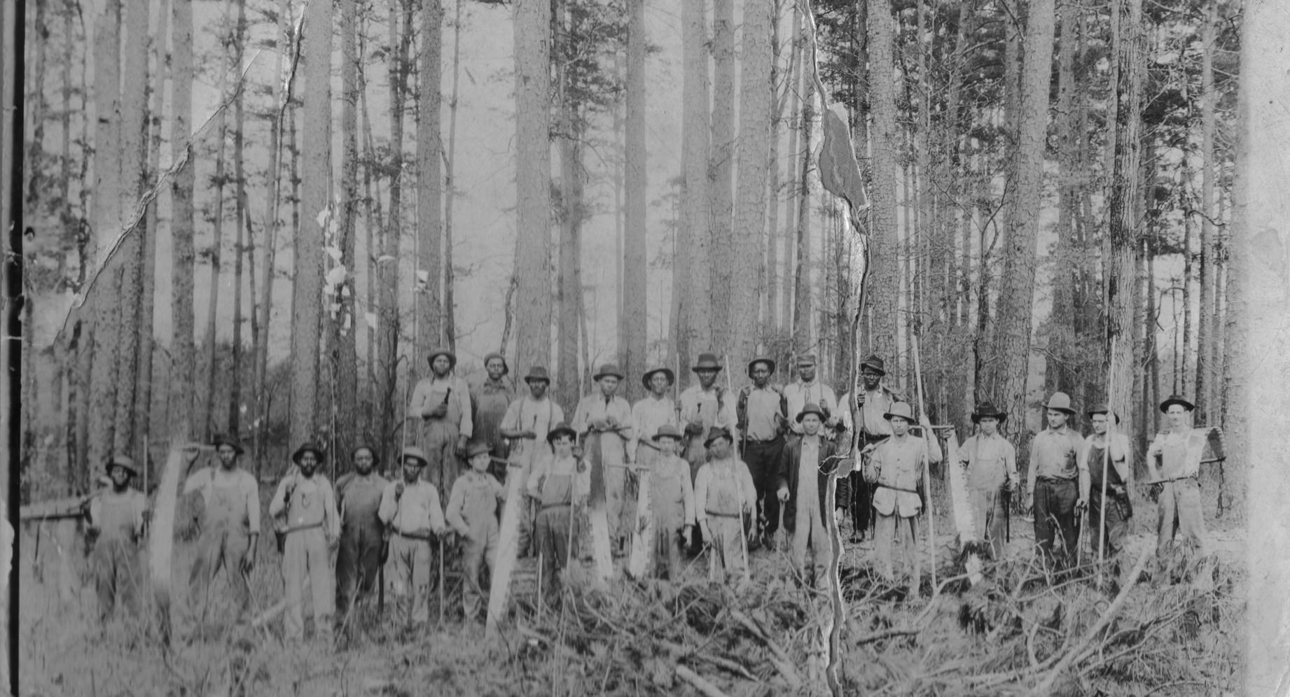 If Trees Could Talk: Middle School Curriculum - Forest History Society