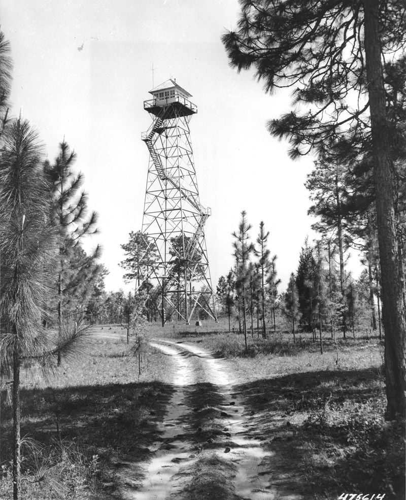 Open Pond lookout tower, Conecuh National Forest, Alabama.