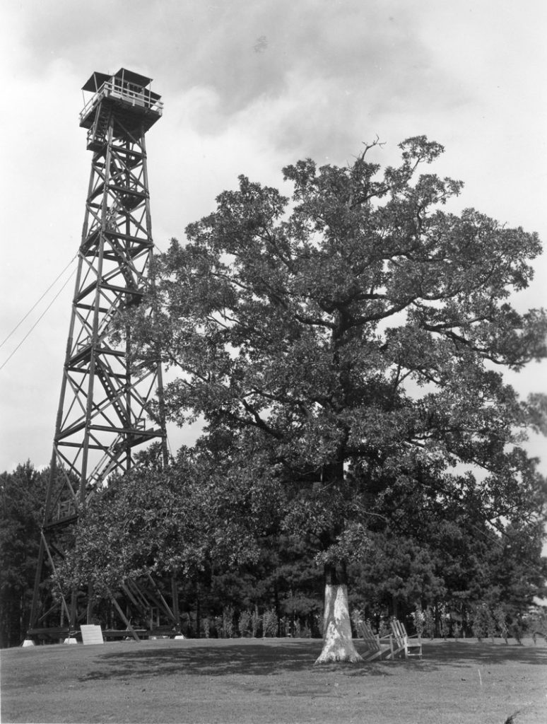 Mosley Hill lookout tower, Kisatchie National Forest, Louisiana.