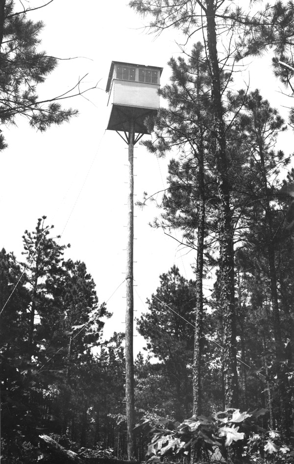 Pine pole lookout, Clark National Forest, Missouri.