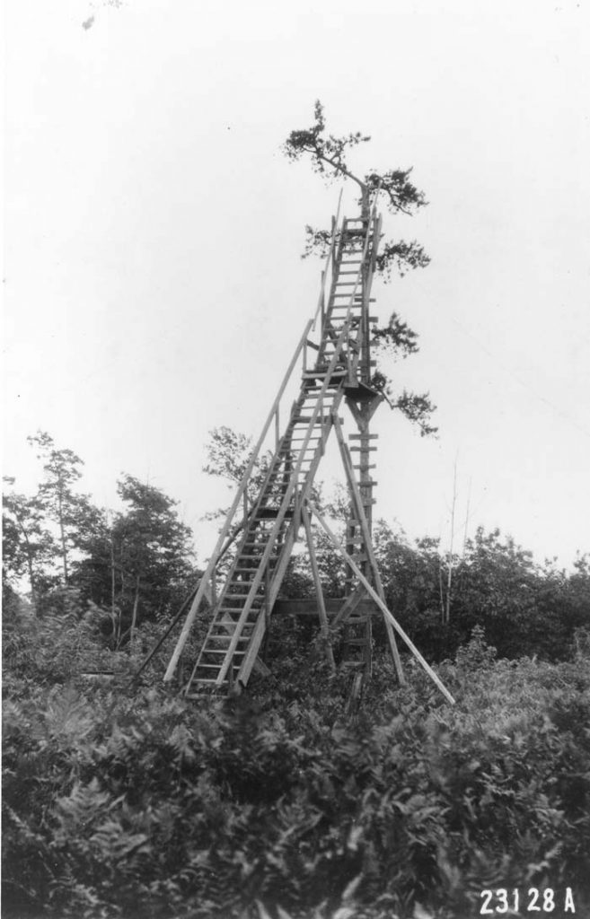 Treetop lookout tower, Pennsylvania.