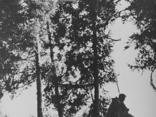 Smokejumper with parachute caught in a tree top.