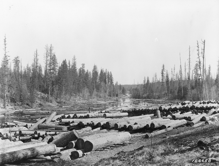Logging-Log Drives-Logs in River - Forest History Society