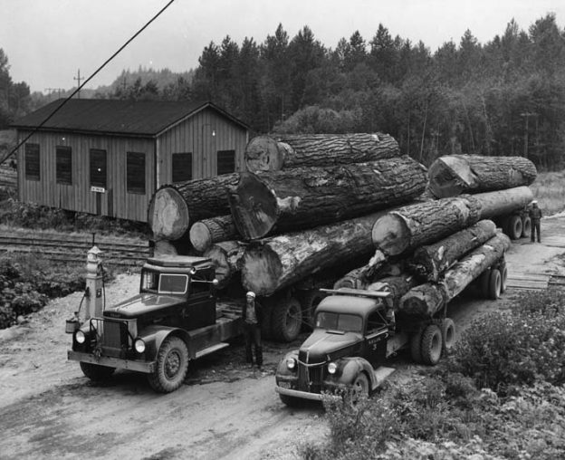 5x7 1935 Logging Truck Hauling Logs PHOTO Lumberjacks Logging Idaho Ax Men Dodge Vintage Forest Great Depression