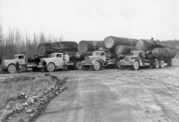 5x7 1935 Logging Truck Hauling Logs PHOTO Lumberjacks Logging Idaho Ax Men Dodge Vintage Forest Great Depression
