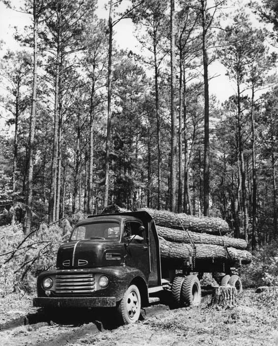 Грузовики лес. Тягач Форд старый. Лес грузовик сбоку. Old logging tractors. Old Forest Trucks.