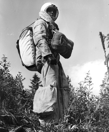 Bill Carver, foreman in smokejumper unit at Missoula, Montana, 1954.