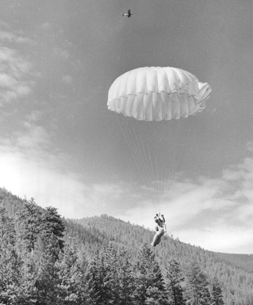 USFS smokejumper nearing the landing spot, Lolo National Forest, Montana, 1956.