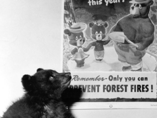 The &#039;real&#039; Smokey Bear with poster.