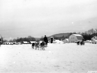 Two dog teams finishing at Chester dog sled races, 1938.