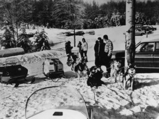 A group of snowmobilers check out a dog team.