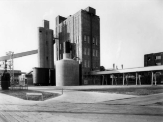 Bellingham pulp mill