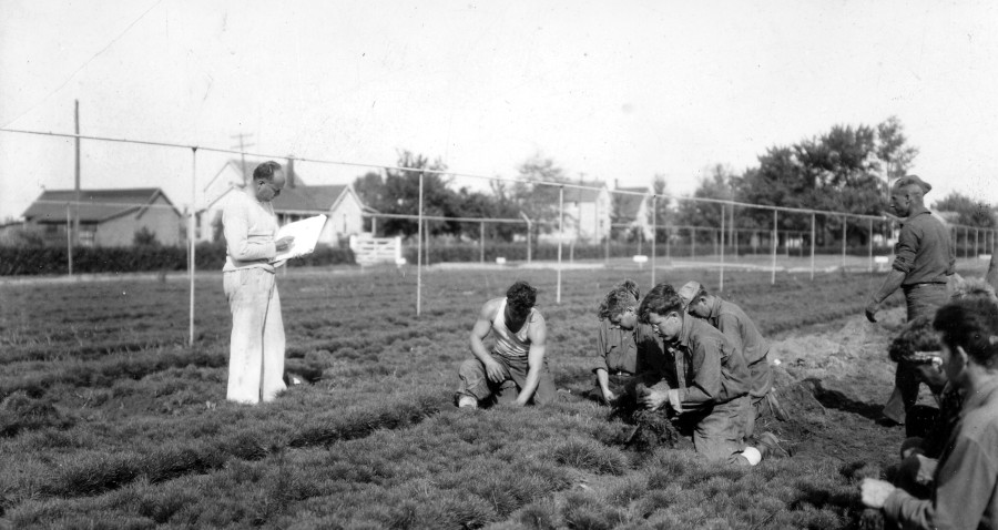 Joseph Sparks, official artist for Huron National Forest, sketching CCC boys at Beal Nursery, 1934.