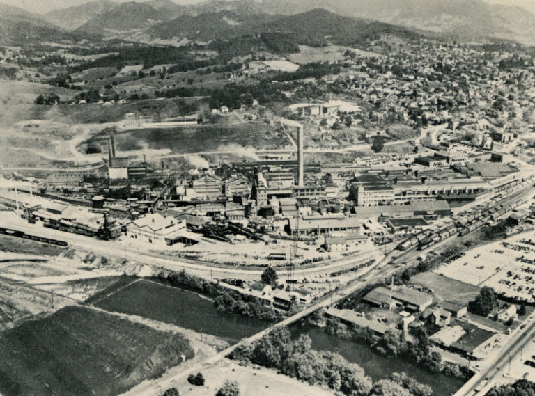 Champion Pulp and Paper Mill in Canton, NC, Timeline Forest History