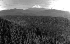 The view of Mount St. Helens overlooking Lewis River, Eagle Butte, and Pine Creek drainage. Taken in 1918.