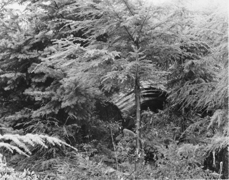 Onnie E. Paakonen in Douglas-fir plantation on a cutting on a portion of the State of Washington's sustained yield unit