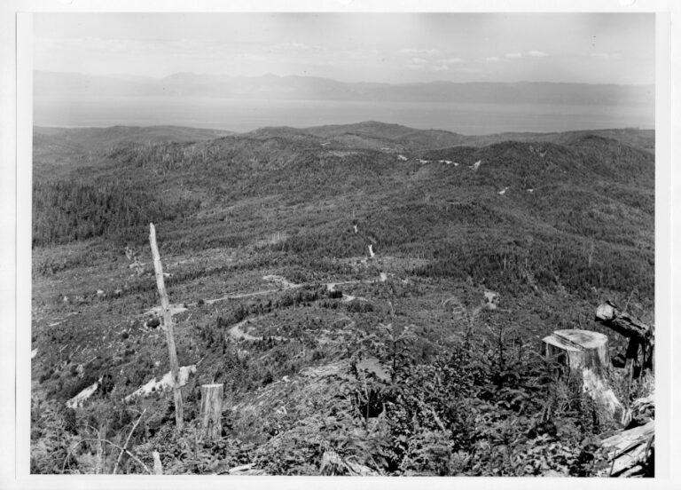 View to the Northeast from Sooes Peak, across cut-ver lands of the Makah Indian Reservation and the Clallum Bay Tree Farm of the Crown Zellerbach Corporation