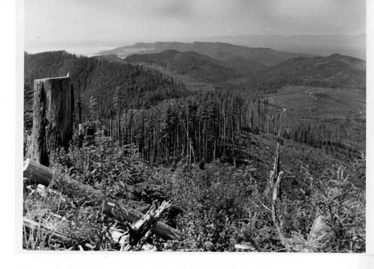 View from Sooes Peak to the northwest across Makah forest lands.