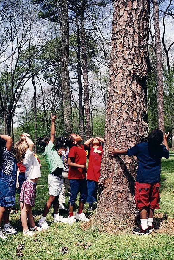 If Trees Could Talk: Middle School Curriculum - Forest History Society