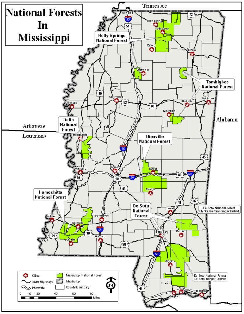 The National Forests of Mississippi, from Land and Resource Management Plan: National Forests in Mississippi (2014)