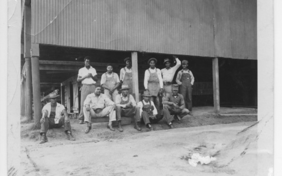 D.05_117d_African_American_Employees