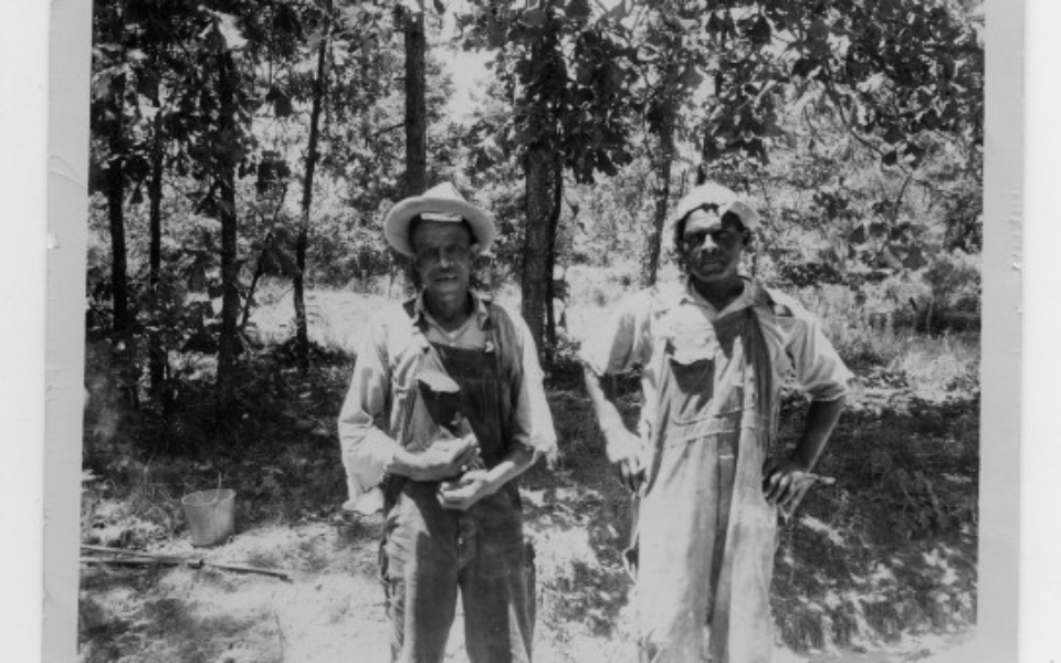 E.05_117c_African_American_Employees