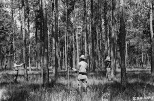 Forest survey crew, Louisiana, 1934.