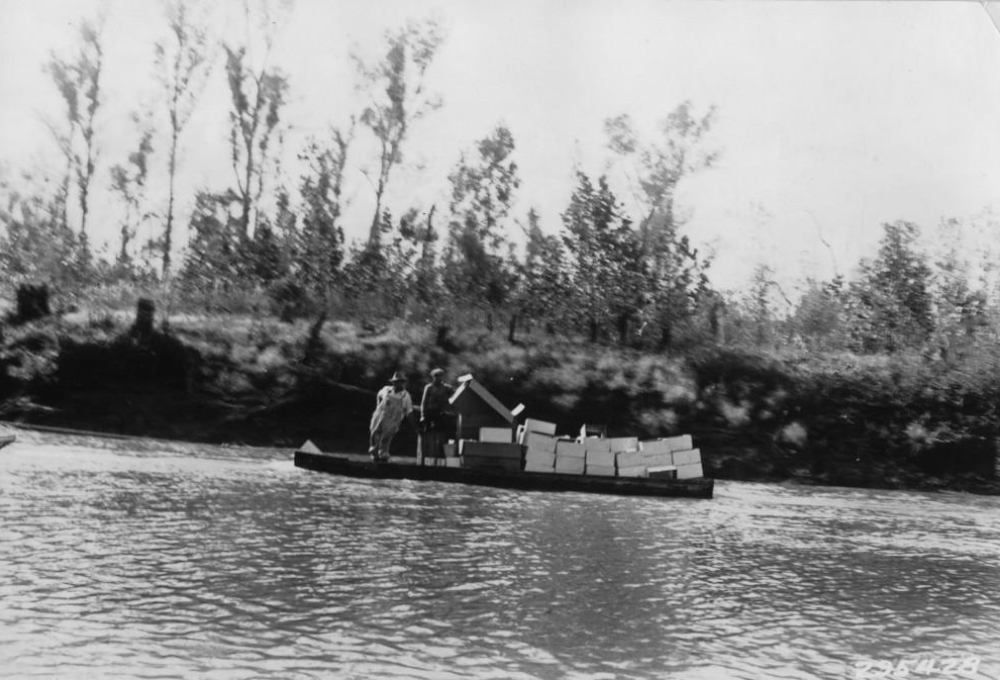 Down on the Bayou: The 1930s Forest Service Photos of Robert K. Winters ...