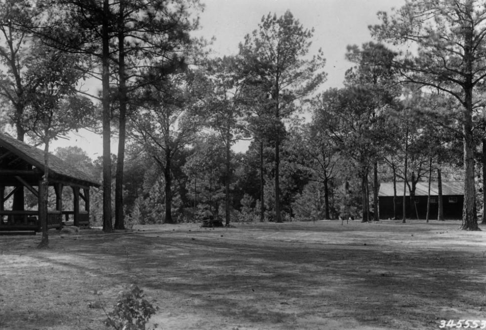 Down on the Bayou: The 1930s Forest Service Photos of Robert K. Winters ...