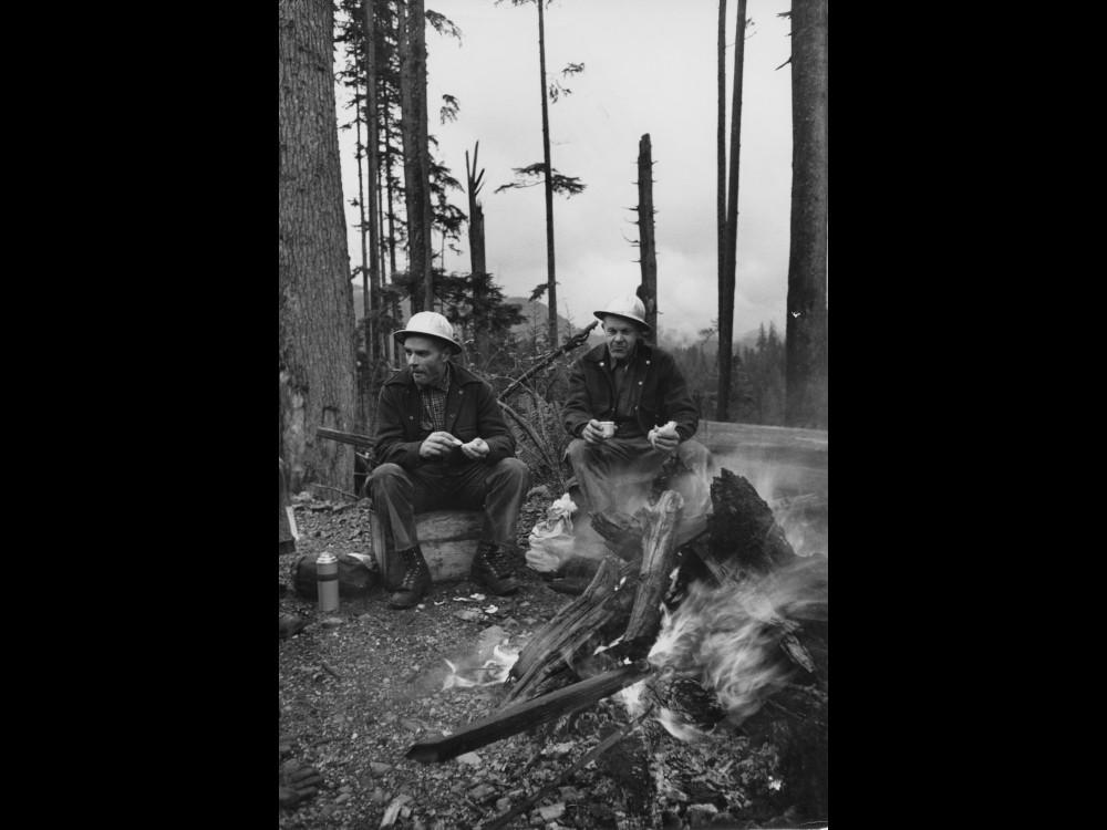 Alfred Eisenstaedt photo of Weyerhaeuser loggers