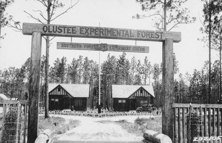 Entrance to Olustee Experimental Forest