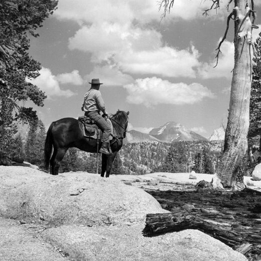 Ranger on trail